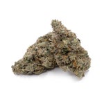 BirthdayDawg-JungleRidge-03