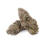 BiscottiCookie-JungleRidge-03