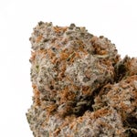 BlackDomino-LuckyFarms-03