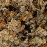 CakeBatter-LuckyFarms-03