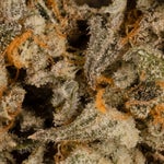 CakeBatter-LuckyFarms-03