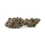 CherryPopperz-03
