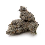 CherryPopperz-03