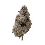 CherryPopperz-03