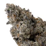 CherryPopperz-03