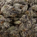 CherryPopperz-03