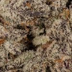 CherryPopperz-03