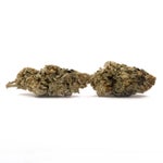 Comatose-LuckyFarms-03