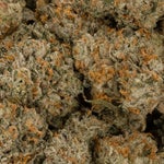 CriticalKushSmalls-02