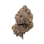 DaFunk-JungleRidge-03