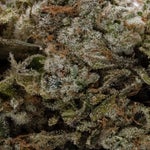 DeathChocolateCookies-03