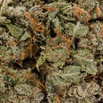 DeathStarOG-JungleRidge-03