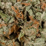 DeathStarOG-JungleRidge-03