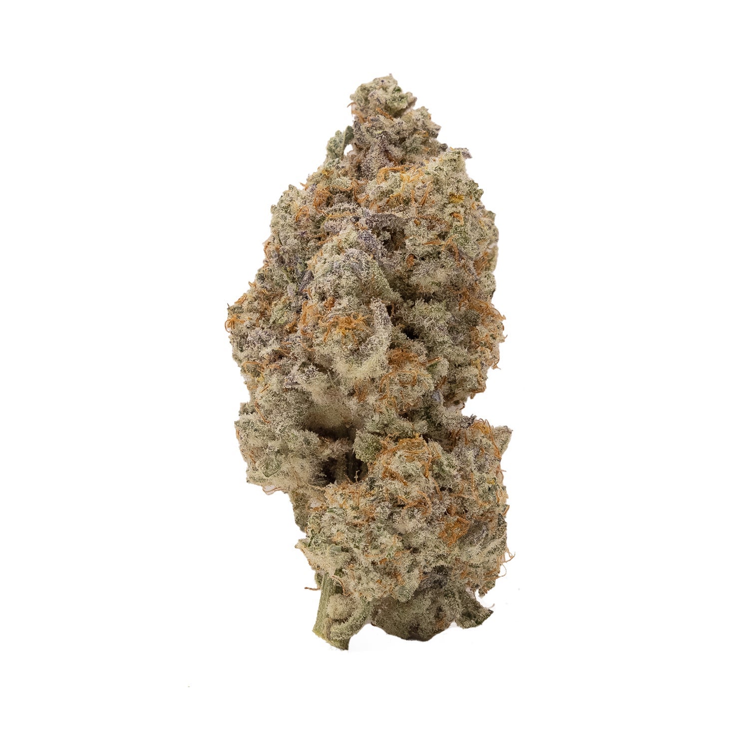 DoughLato-Superdank-03