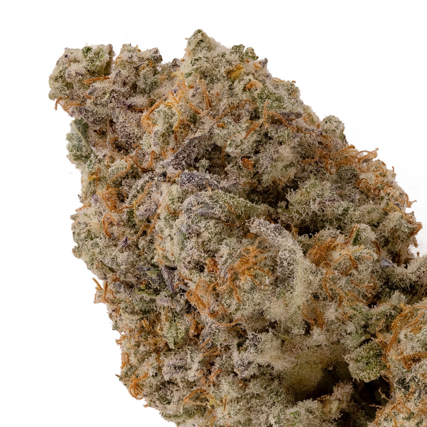 DoughLato-Superdank-04