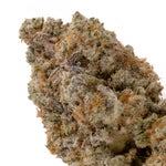 DoughLato-Superdank-03