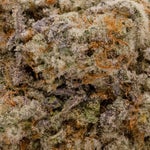 DoughLato-Superdank-03