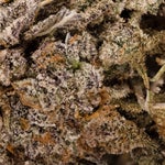 FunkyCharms-LuckyFarms-03