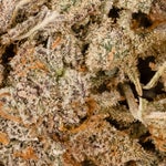 FunkyCharms-LuckyFarms-03