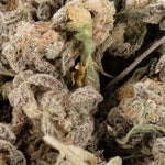 GarlicMintzSmalls-LuckyFarmsSmalls-02