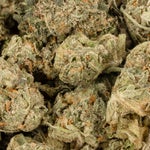 GelatoSmalls-LuckyFarms-01