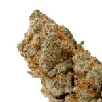 GreyGoose-LuckyFarms-03