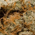 GreyGoose-LuckyFarms-03