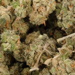 IndicaDomTHC-BubbaKush-02
