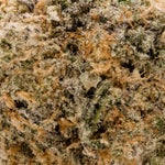 InfernoMac1-LuckyFarms-03