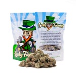 KishSmalls-LuckyFarmsSmalls-02