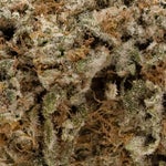 LAConfidential-LuckyFarms-03