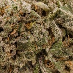 LavaCake-Superdank-03