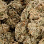 LimesicleSmalls-SuperDank-02