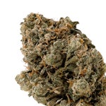 MACDonut-LuckyFarms-03