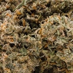 MACDonut-LuckyFarms-03