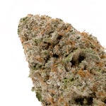 MacNCookies-03