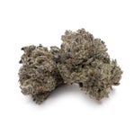 MoonPie-JungleRidge-03