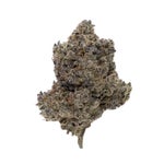 MoonPie-JungleRidge-03