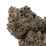 MoonPie-JungleRidge-03