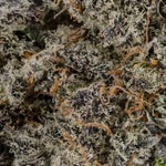 MoonPie-JungleRidge-03