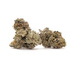 NorthernLights-LuckyFarms-03