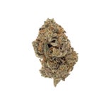 NorthernLights-LuckyFarms-03