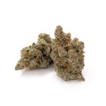 PanamaHaze-Albatross-04