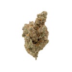 PanamaHaze-Albatross-04