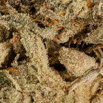 PermanentMarker-LuckyFarms-03