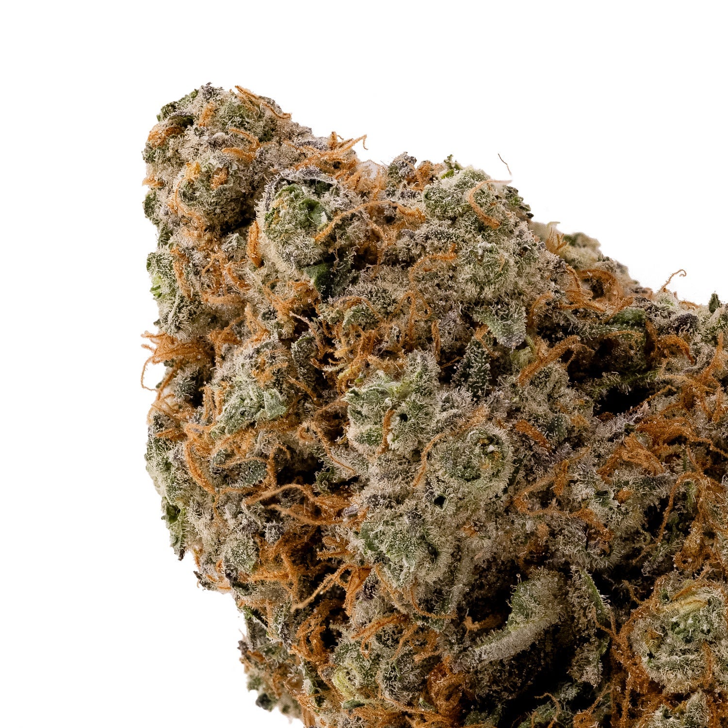 PlatinumKushBreath-04