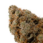 PlatinumKushBreath-03