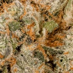 PlatinumKushBreath-03