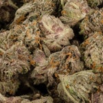 PurpleDieselSmalls-02