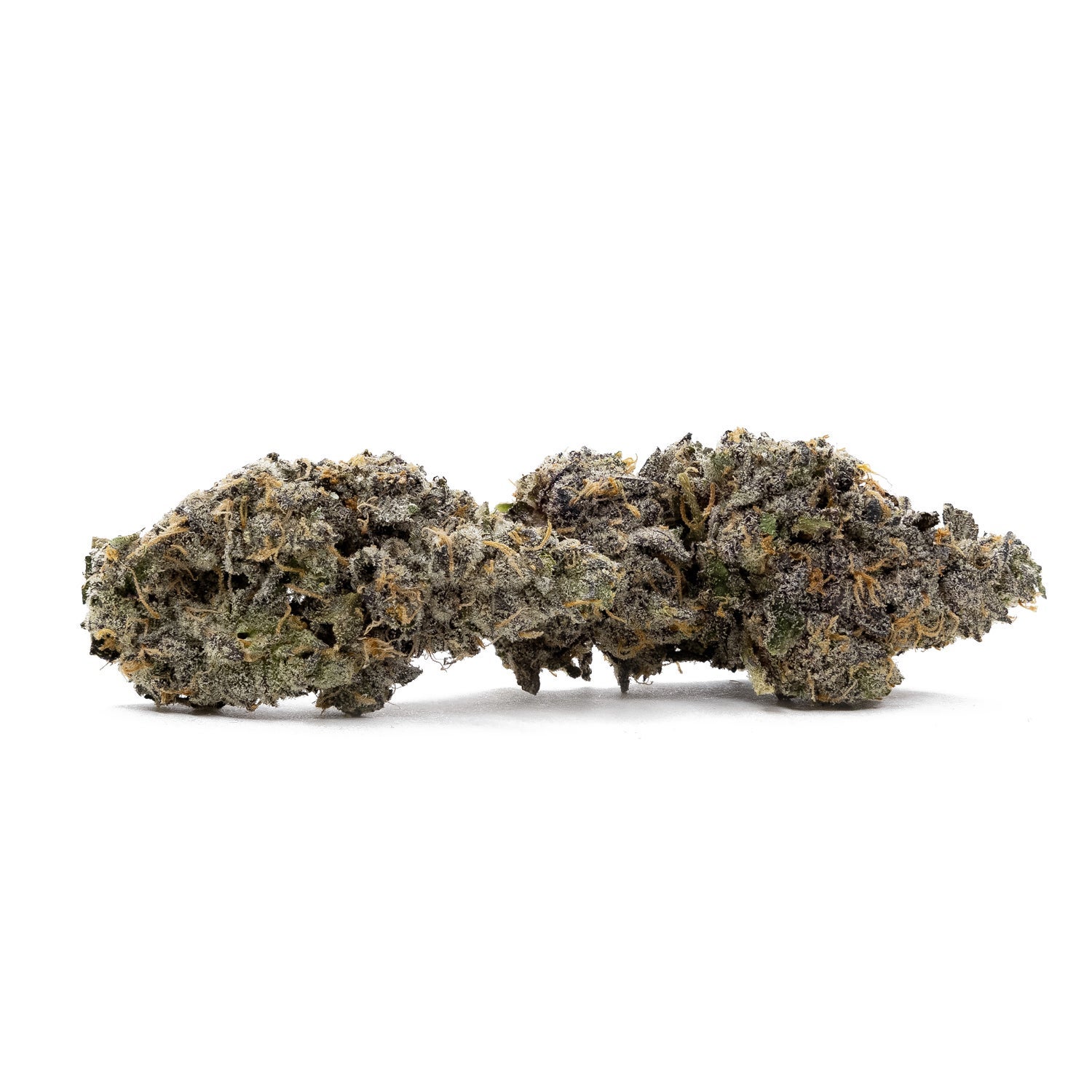 RainbowChip-JungleRidge-01